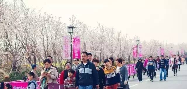 凤凰城遗忘录(国语版)