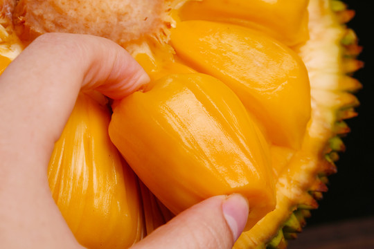 兵王归来之孤狼行动