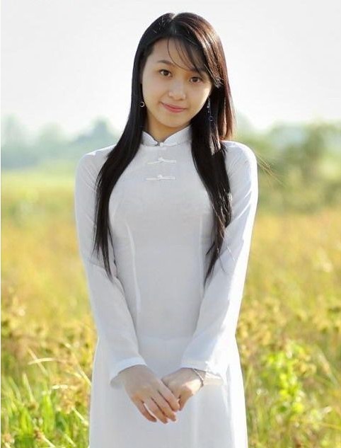 兔子镇的火狐狸