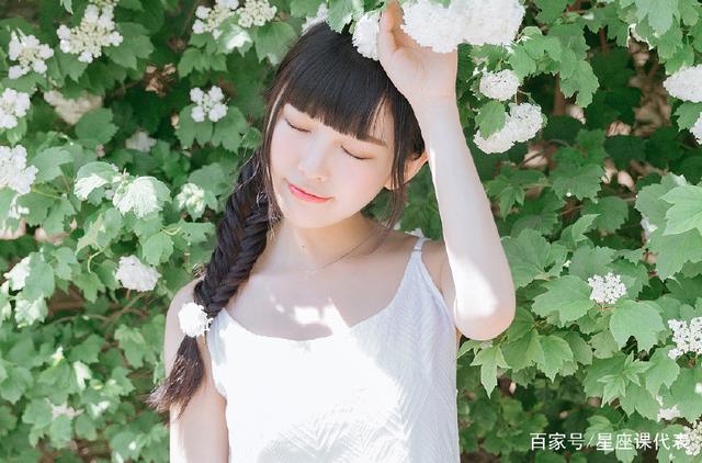 内特的梦想剧院