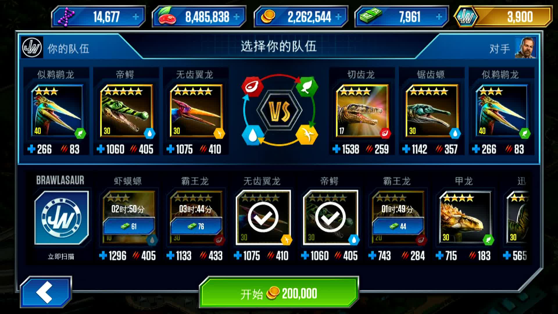 克里斯黛拉·阿朗索：上层阶级