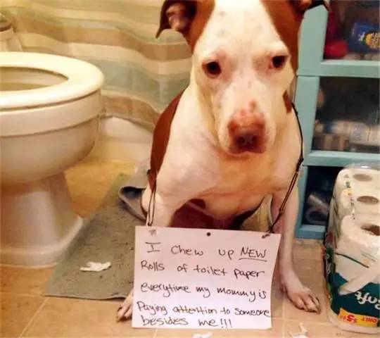 全职杀手（国语版）