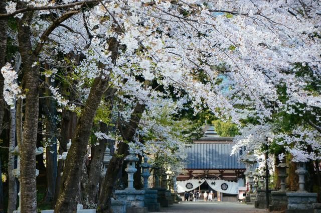 光晕4：航向黎明号